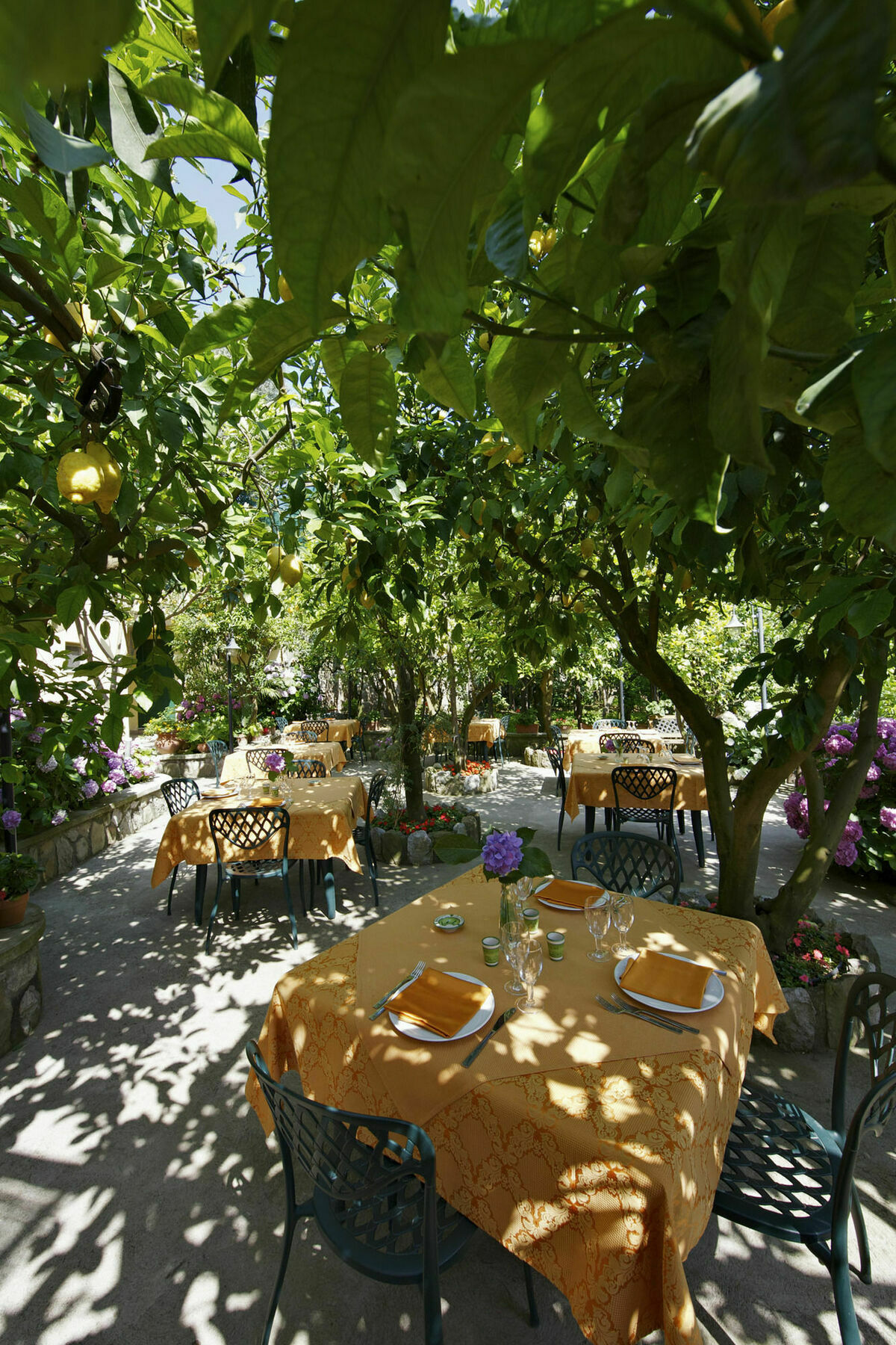 Agriturismo La Lobra Massa Lubrense Exterior foto