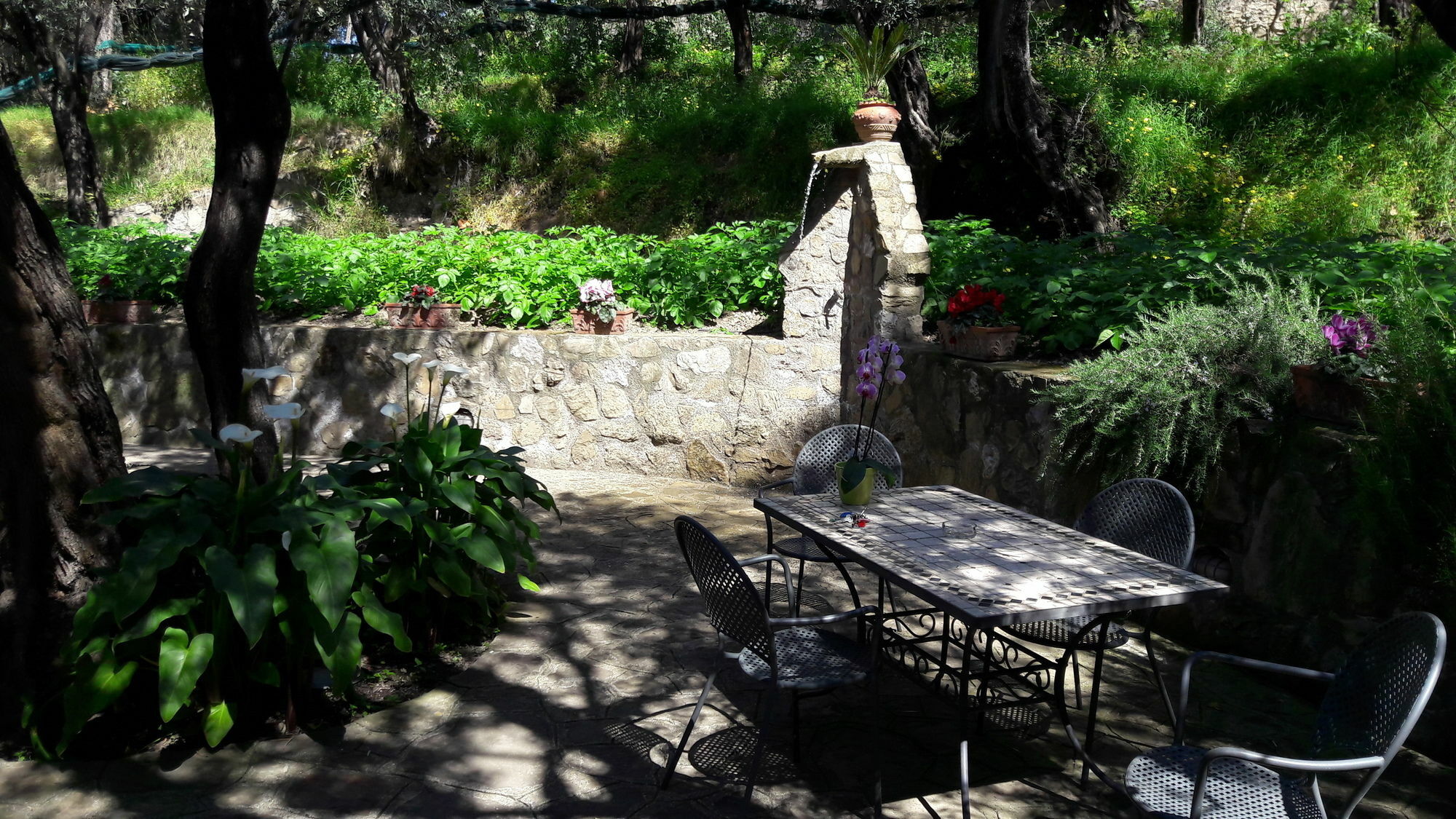 Agriturismo La Lobra Massa Lubrense Exterior foto
